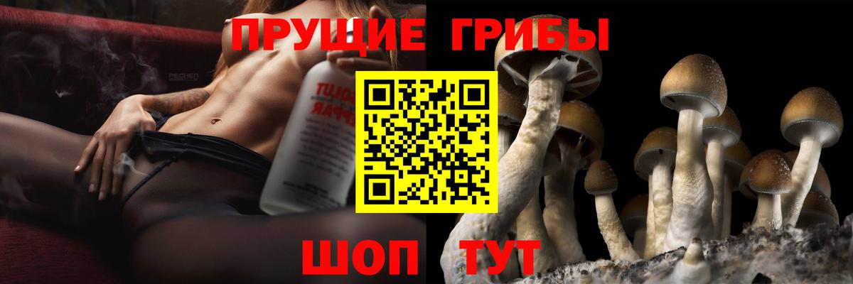 Галлюциногенные грибы MAGIC MUSHROOMS  Вход с VPN  Бор  Галлюциногенные грибы Cubensis 